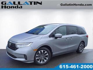 2024 Honda Odyssey for sale in Gallatin TN