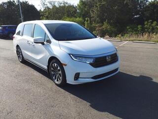 2024 Honda Odyssey for sale in El Dorado AR