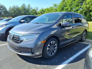 2024 Honda Odyssey for sale in Roanoke VA