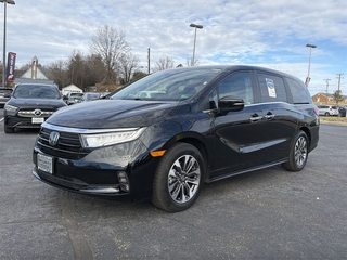 2024 Honda Odyssey for sale in Roanoke VA