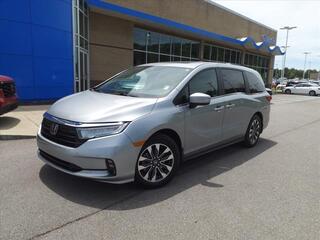 2024 Honda Odyssey for sale in Gallatin TN