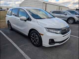2025 Honda Odyssey