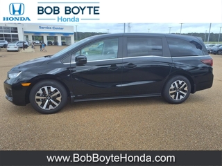 2025 Honda Odyssey