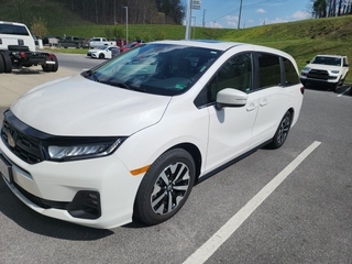 2025 Honda Odyssey for sale in Chattanooga TN