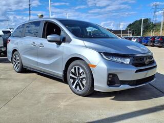 2026 Honda Odyssey