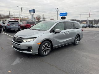 2026 Honda Odyssey for sale in Johnson City TN