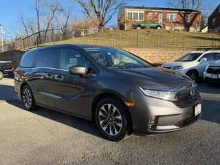 2023 Honda Odyssey for sale in Roanoke VA