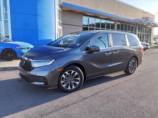 2024 Honda Odyssey for sale in Gallatin TN