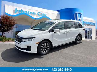 2026 Honda Odyssey for sale in Johnson City TN