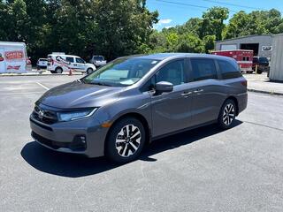 2026 Honda Odyssey for sale in Johnson City TN