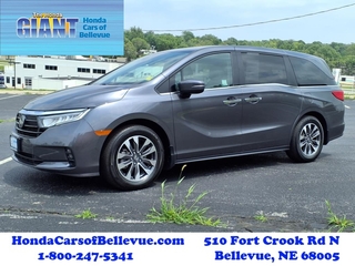 2023 Honda Odyssey for sale in Bellevue NE
