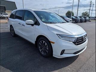 2024 Honda Odyssey for sale in Bowling Green KY