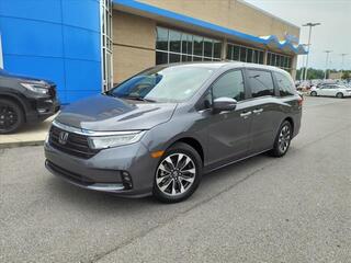 2024 Honda Odyssey for sale in Gallatin TN