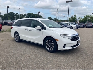 2024 Honda Odyssey for sale in Roanoke VA