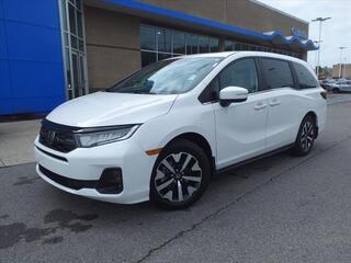 2025 Honda Odyssey for sale in Gallatin TN