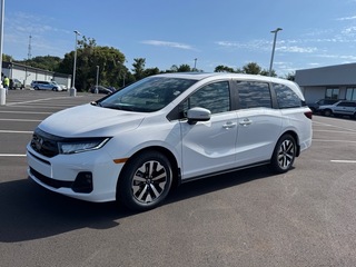 2026 Honda Odyssey for sale in Johnson City TN