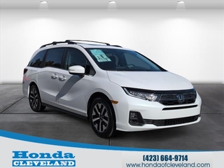 2026 Honda Odyssey