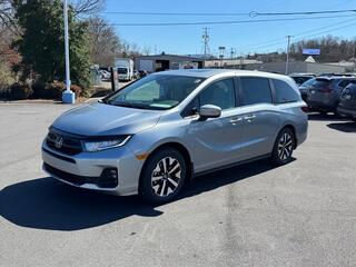 2026 Honda Odyssey for sale in Johnson City TN