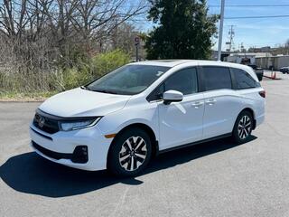 2026 Honda Odyssey for sale in Johnson City TN