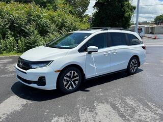 2026 Honda Odyssey for sale in Johnson City TN