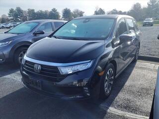 2023 Honda Odyssey for sale in Roanoke VA