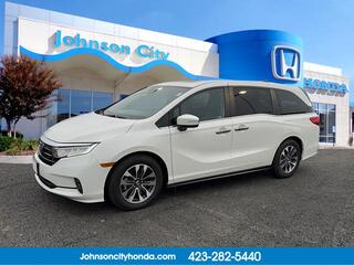 2023 Honda Odyssey for sale in Johnson City TN