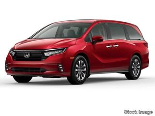 2024 Honda Odyssey for sale in Asheville NC