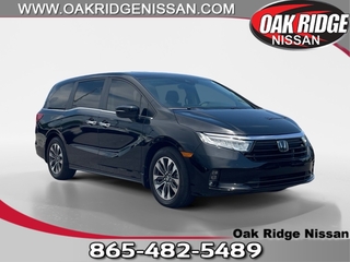 2024 Honda Odyssey for sale in Oak Ridge TN