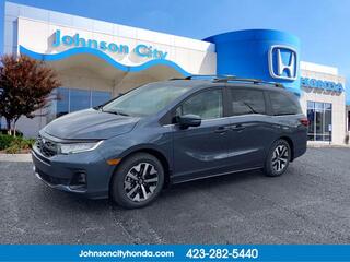 2025 Honda Odyssey for sale in Johnson City TN