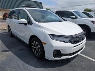 2025 Honda Odyssey for sale in Bowling Green KY