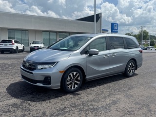 2025 Honda Odyssey for sale in Johnson City TN