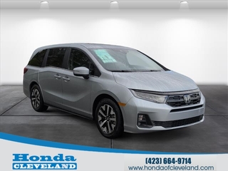 2026 Honda Odyssey for sale in Cleveland TN