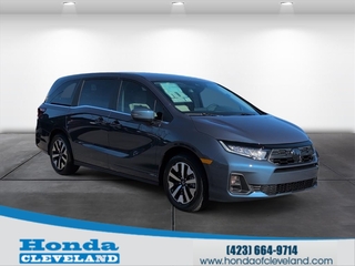 2026 Honda Odyssey for sale in Cleveland TN