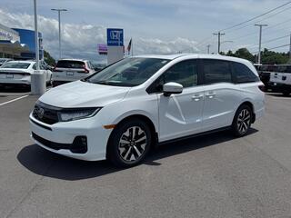 2026 Honda Odyssey for sale in Johnson City TN