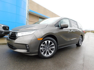 2023 Honda Odyssey for sale in Gallatin TN