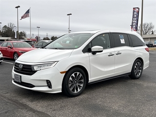 2024 Honda Odyssey for sale in Roanoke VA