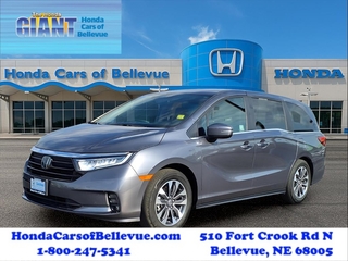 2024 Honda Odyssey for sale in Bellevue NE