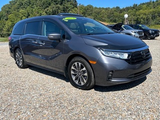 2024 Honda Odyssey for sale in Bridgeport WV
