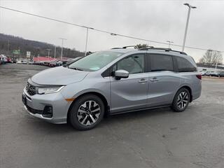 2025 Honda Odyssey for sale in Johnson City TN