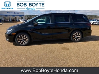 2025 Honda Odyssey for sale in Brandon MS