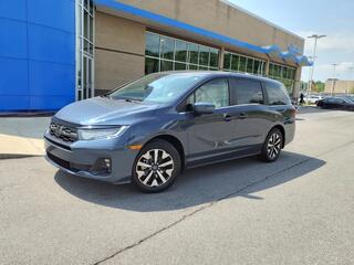 2025 Honda Odyssey for sale in Gallatin TN