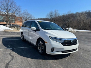 2023 Honda Odyssey for sale in Bourbonnais IL