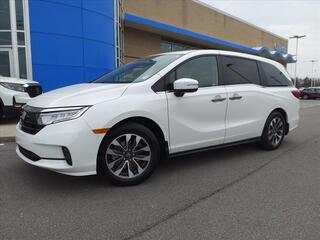 2023 Honda Odyssey for sale in Gallatin TN