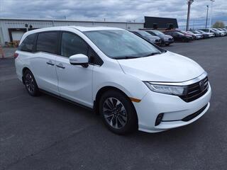 2024 Honda Odyssey for sale in Bowling Green KY