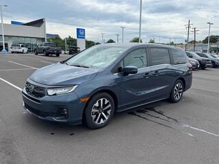 2025 Honda Odyssey for sale in Johnson City TN