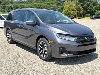 2025 Honda Odyssey for sale in Bridgeport WV