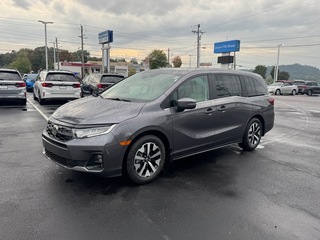 2026 Honda Odyssey for sale in Johnson City TN