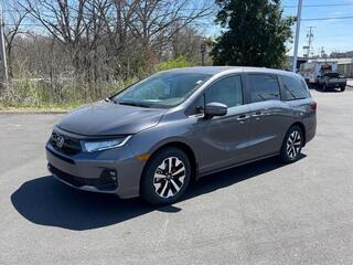 2026 Honda Odyssey for sale in Johnson City TN
