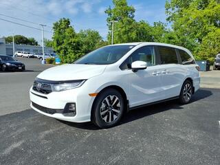 2026 Honda Odyssey for sale in Johnson City TN