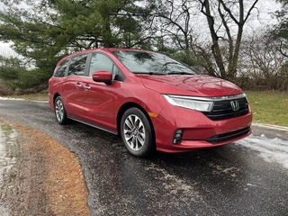2023 Honda Odyssey for sale in Xenia OH